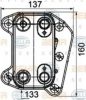 HELLA 8MO 376 755-251 Oil Cooler, engine oil